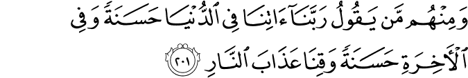 Surah 2 Ayah 201