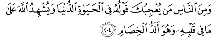 Surah 2 Ayah 204