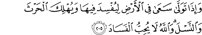 Surah 2 Ayah 205