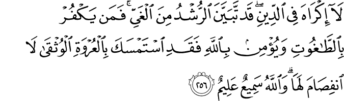 Surah 2 Ayah 256
