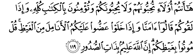 Surah 3 Ayah 119