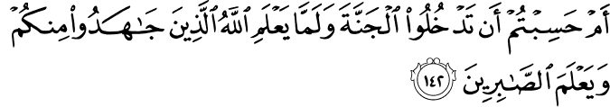Surah 3 Ayah 142