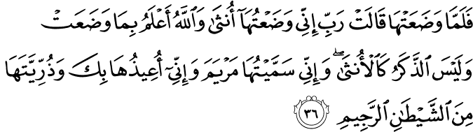 Surah 3 Ayah 36