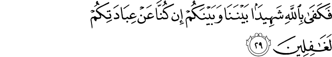 Surah 10 Ayah 29