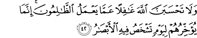 Surah 14 Ayah 42