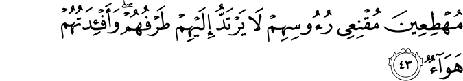 Surah 14 Ayah 43