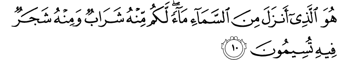 Surah 16 Ayah 10