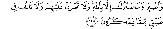 Surah 16 Ayah 127