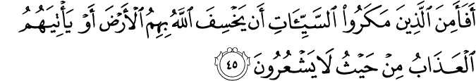 Surah 16 Ayah 45