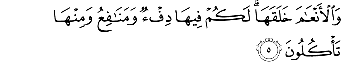 Surah 16 Ayah 5