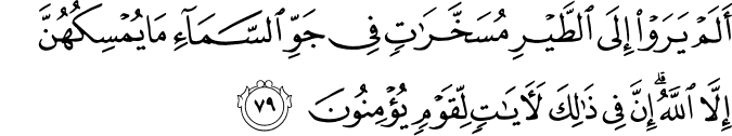 Surah 16 Ayah 79