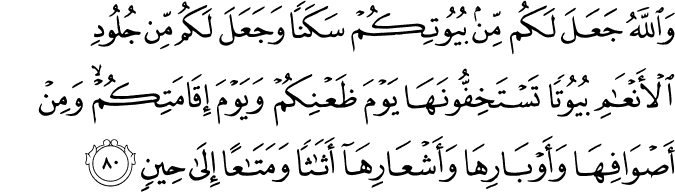 Surah 16 Ayah 80