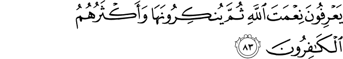 Surah 16 Ayah 83