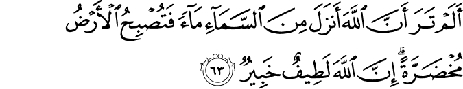 Surah 22 Ayah 63