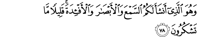 Surah 23 Ayah 78