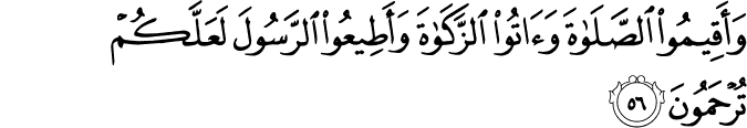 Surah 24 Ayah 56