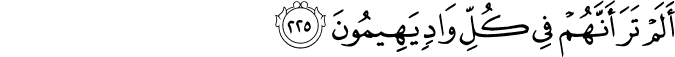 Surah 26 Ayah 225