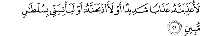 Surah 27 Ayah 21