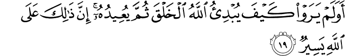 Surah 29 Ayah 19