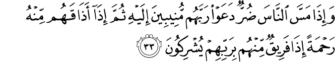Surah 30 Ayah 33