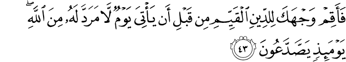 Surah 30 Ayah 43