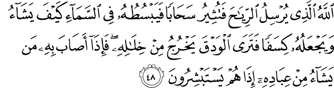 Surah 30 Ayah 48