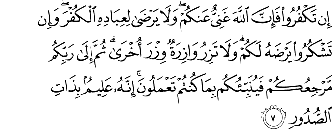 Surah 39 Ayah 7