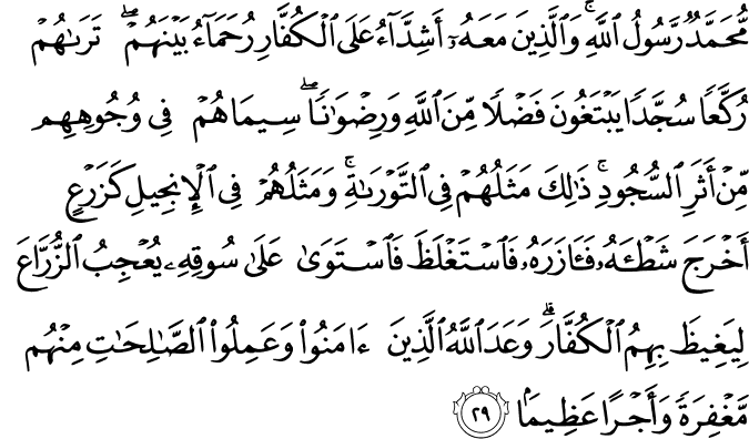 Surah 48 Ayah 29