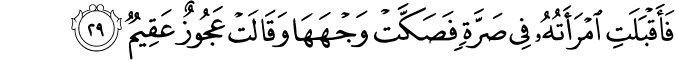 Surah 51 Ayah 29