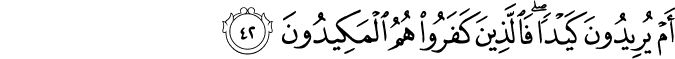 Surah 52 Ayah 42