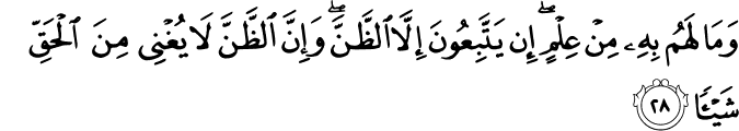 Surah 53 Ayah 28