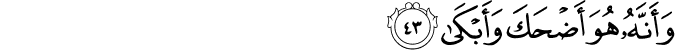Surah 53 Ayah 43