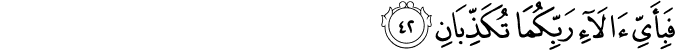 Surah 55 Ayah 42