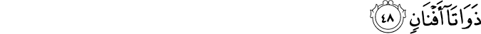 Surah 55 Ayah 48