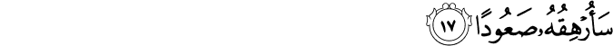 Surah 74 Ayah 17