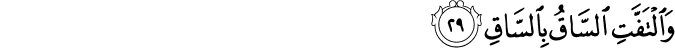 Surah 75 Ayah 29
