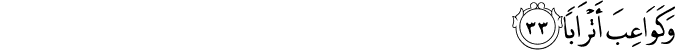 Surah 78 Ayah 33